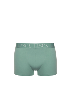 LISCA 032039 ODYSSEUS Herren Pant/Short M-XXXL aloe green AG