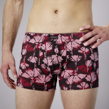 BRUNO BANANI Pant/Short PARCHED 22012495-4580